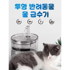 투명 반려동물 물 급수기 물 자동순환 정수기, 추가 전용필터 8매(본체없음)