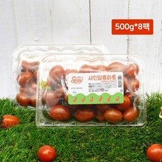 샤인달콤마토