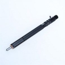 자동차 엔진 부품 델파이 디젤 커먼레일 연료 인젝터 쌍용 액티언 2.0 XD D20DT EJBR04501D 04501D, 1개
