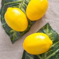 REAL 모조야채 모형채소 가짜 소품, 과일모형_레몬 중 -10개