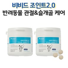 강아지 관절 영양제 슬개골 영양제 애견 영양제 관절 고양이 반려견 영양제 비비드 조인트2.0, 60정, 뼈/관절강화, 2개