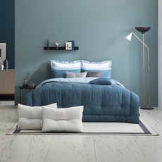 allecell토퍼세트