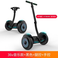 원몽드 전동휠 호버보드 나인봇, H, 36V