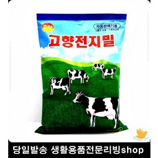 아침에한잔밀크티