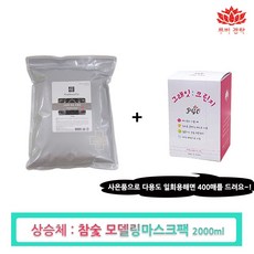 슈렉모델링팩