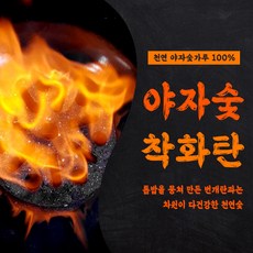 아래타숯
