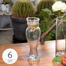 HY 유리화분 화병 수반 SH147-20 (신청자화병) 6x20cm