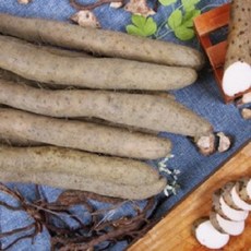 암을이기는건강밥상