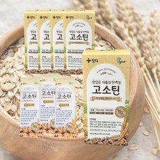 링티 고소틴 단백질 40g 28+7포 운동후 식물성 비건 단백질 보충제