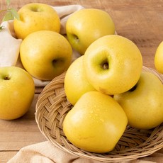 산지직송 시나노골드 황금사과 고당도 꿀사과 경북 청송 안동, 2kg 중소과~중과 (7-9과) 가정용, 1개