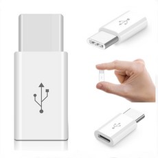 USB 3.1 C타입 젠더, 1개