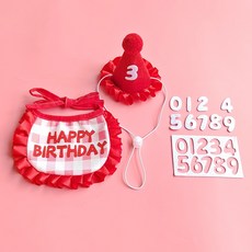 강아지 고양이 생일케이프 고깔모자 세트 홈파티 돌잔치 선물, 레드