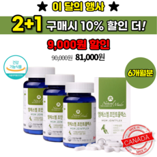 관절엔플러스