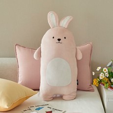 모던하우스아기캐리어