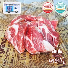 (당일출돼지) 캠핑가자! 숙성 양고기 모음1kg 양사각갈비 2소스, 1개, 냉동 양등심살(세절)
