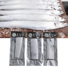 제주갈치낚시tv