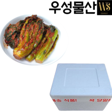 갓김치 파김치 10 kg 업소용 대용량 중국산, 갓김치 아이스박스포장_하절기추천, 1박스, 10kg