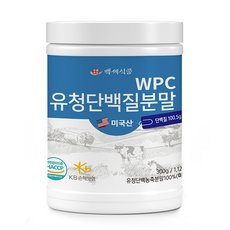 WPC 유청단백질 분말 300g 미국산100% HACCP 인증제품, 6개