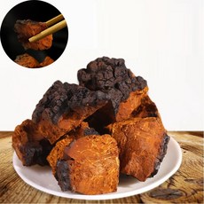 러시아 산 야생 차가버섯 고급포장, 500g, 2개