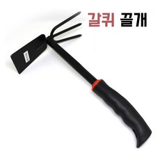 감자캐기체험