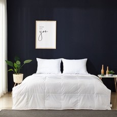 구스앤홈여름구스이불