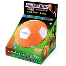 축구공 킥커볼 Kickerball 스포츠완구