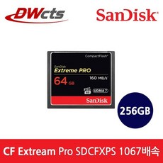 샌디스크cf256gb