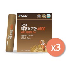 웰스터 국산 맥주효모환 4000 4.2g x 30포 x 3박스, 3개