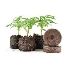 플라팜쿠션체어