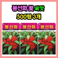 봉선화 씨앗 (합 1500립) 봉숭아 꽃씨 종자, 3개 1개