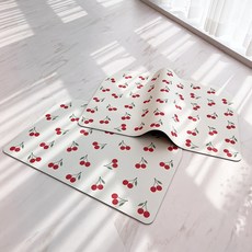 모노니크 빨아쓰는 규조토 발매트 3세대 18.체리체리 2size, 18.체리체리 (60 x 40 cm), 1개