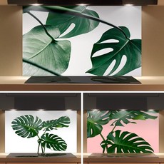 몬스테라아트보드