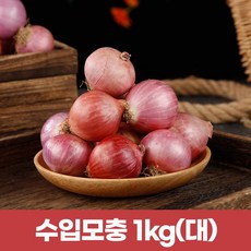 수입모충 샬롯 작은양파1kg (큰사이즈), 1개