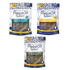 플라그오프덴탈케어본