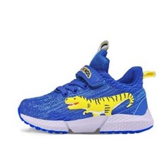 다이노킹마이크