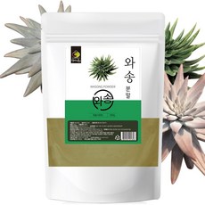 자연선물 와송분말 500g 철분 단백질 인 칼슘 국내산 100% 와송 분말 기와솔 바위솔 신비의 약초 자연산 자연 주의 무첨가, 1개