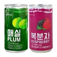 롯데 미니캔175ml 매실60캔 + 복분자30캔 총90캔 소캔 업소용 사무실 가정용 캔음료, 90캔, 175ml
