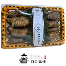 [대지약초] 명품 정선 햇더덕 깐더덕 생더덕 선물용 강원도 특산물, 선물용 특품 1.5kg, 1개