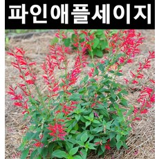 //상품명