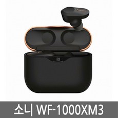 소니wf1000xm3