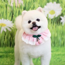 하니펫 반려동물 귀요미스카프 뜨게체리레이스, 핑크, 1개