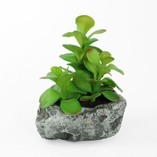 d6de0e45d3536524b430a88773cf737a8a837788ce0bf91d3ac5d0241356.JPG