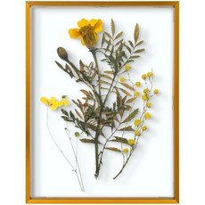 Frametory 플로팅 사진 프레임 30.5x40.6cm(12x16인치) - 브론즈 알루미늄 금속 사진 프레임 - 실제 전면 유리 - 벽 마운트 디스플레이용, Frametory, 플로팅 사진 프레임 30.5x40.