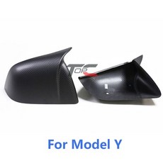 테슬라룸미러하이패스