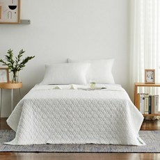 모던하우스리안풍기인견