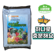 고추추비