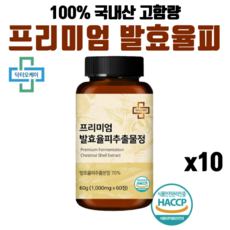 크라이오테라피부산