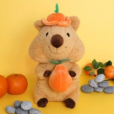 한라봉 쿼카 봉제인형 25cm, 25, 1개