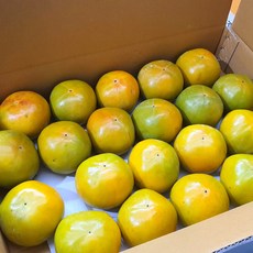 경남 진영 햇 부유 단감, 3kg(중과), 1박스