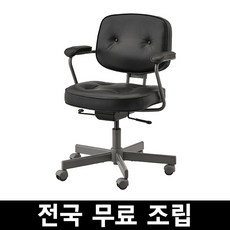 추천6 이케아알레피엘